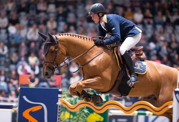 British Breeding Combine Stallion Event with Equine Bridge and Futurity Awards British Breeding Combine Stallion Event with Equine Bridge and Futurity Awards